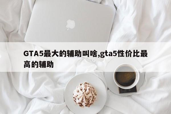 GTA5最大的辅助叫啥,gta5性价比最高的辅助